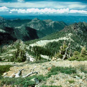 Meet your Posher, Keely